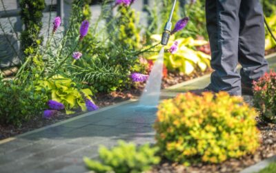 Spring Cleanup: How to Prep Your Lawn and Landscaping