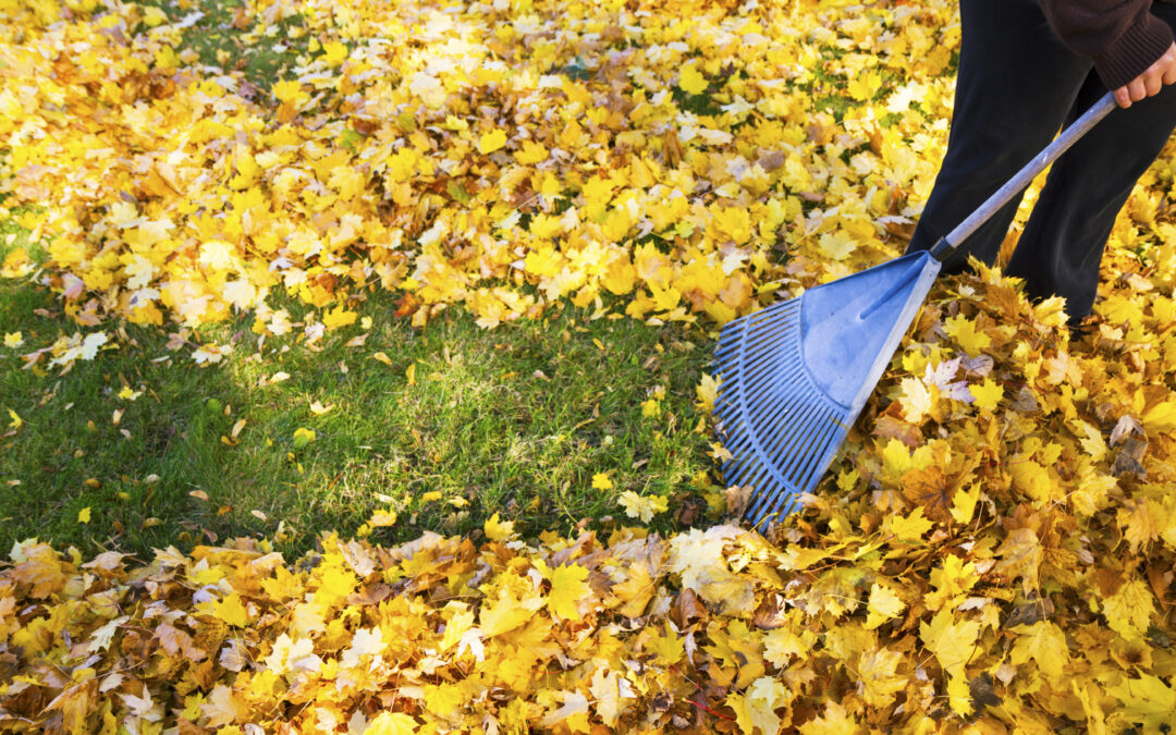 What to Include in Fall Cleanup to Make Next Spring and Summer Garden Time Easier