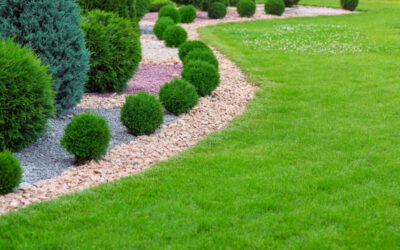 Shrubs Work Hard to Create Fabulous Landscapes