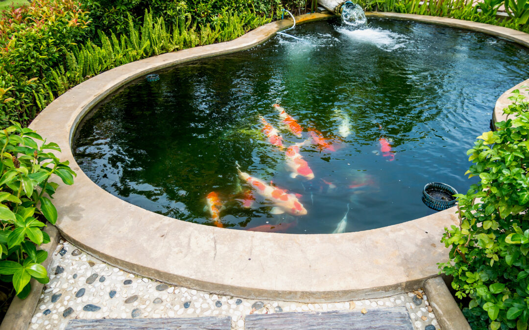 Ponds can add value, beauty, and purpose to your landscape