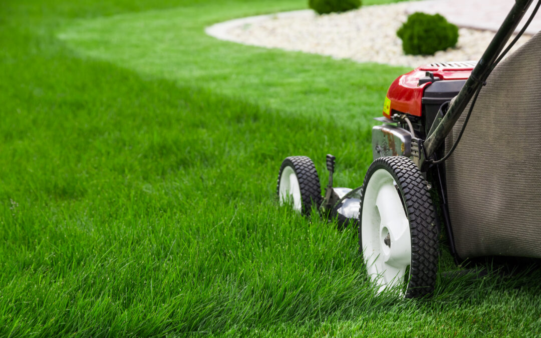How to Approach Lawn Care All Summer