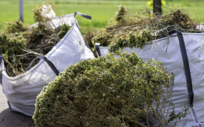 Clean Up the Garden in the Fall