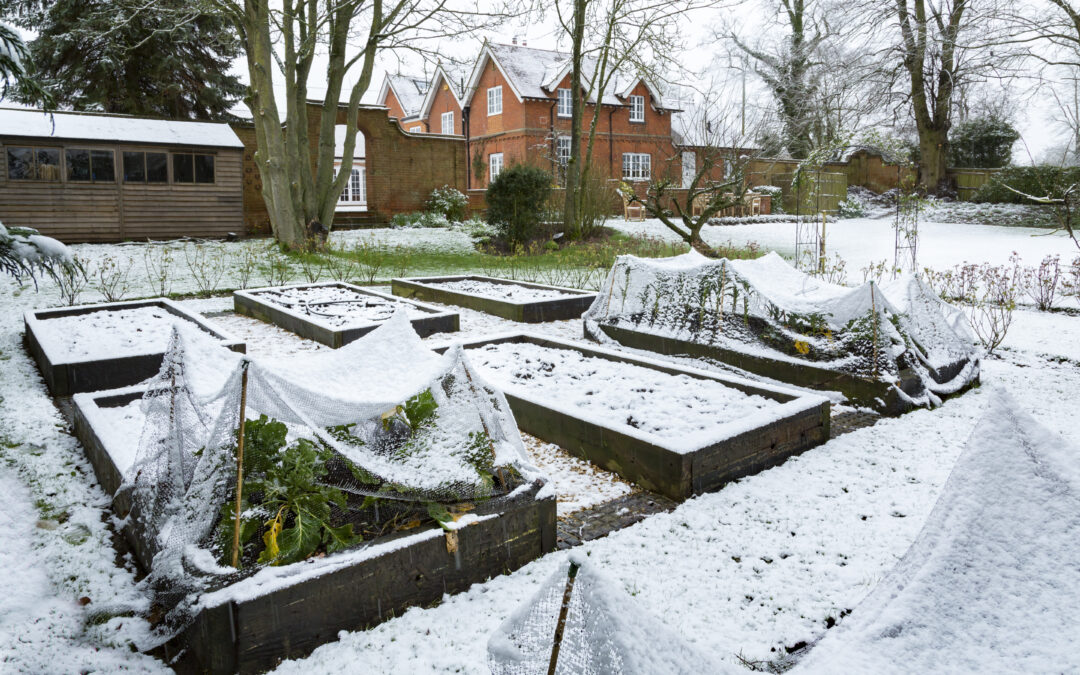 winter-garden-scaled