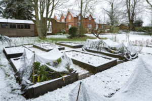 winter-garden-scaled