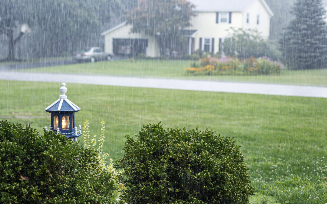 How Landscaping Protects Your House from Rain