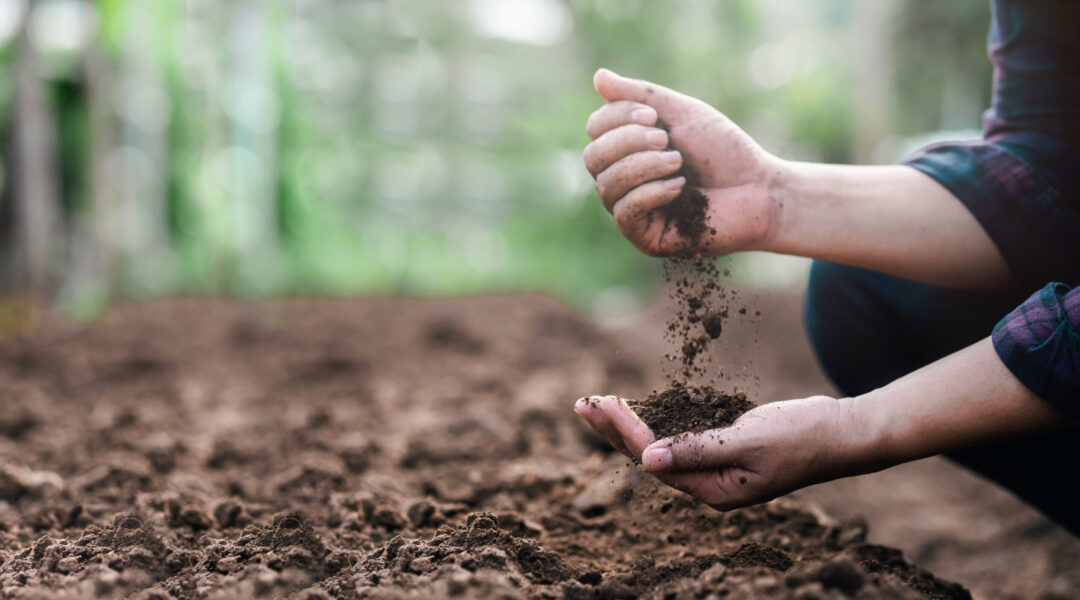 10 Important Soil Words to Remember