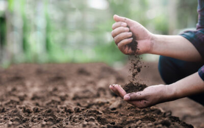 10 Important Soil Words to Remember