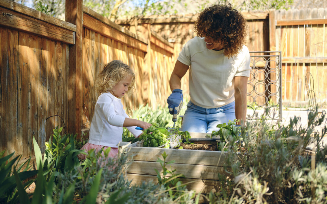 Terms the Beginner Gardener Needs to Know